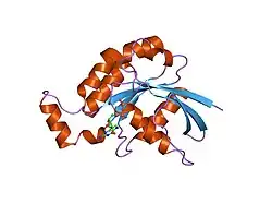 1dpf: CRYSTAL STRUCTURE OF A MG-FREE FORM OF RHOA COMPLEXED WITH GDP