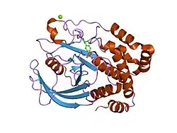 1eeo: CRYSTAL STRUCTURE OF PROTEIN TYROSINE PHOSPHATASE 1B COMPLEXED WITH ACETYL-E-L-E-F-PTYR-M-D-Y-E-NH2