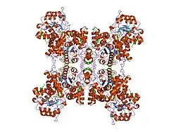 1efk: STRUCTURE OF HUMAN MALIC ENZYME IN COMPLEX WITH KETOMALONATE