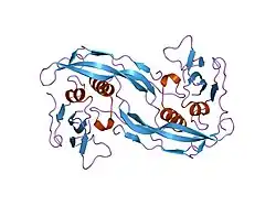 1es7: COMPLEX BETWEEN BMP-2 AND TWO BMP RECEPTOR IA ECTODOMAINS