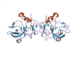 1euj: A NOVEL ANTI-TUMOR CYTOKINE CONTAINS A RNA-BINDING MOTIF PRESENT IN AMINOACYL-TRNA SYNTHETASES