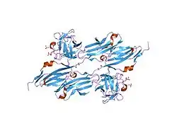 1evt: CRYSTAL STRUCTURE OF FGF1 IN COMPLEX WITH THE EXTRACELLULAR LIGAND BINDING DOMAIN OF FGF RECEPTOR 1 (FGFR1)