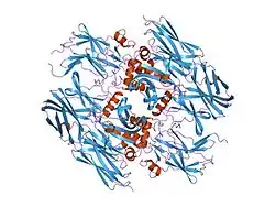 1f13: RECOMBINANT HUMAN CELLULAR COAGULATION FACTOR XIII