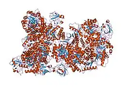 1f3w: RECOMBINANT RABBIT MUSCLE PYRUVATE KINASE