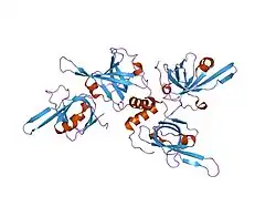1fgu: SSDNA-BINDING DOMAIN OF THE LARGE SUBUNIT OF REPLICATION PROTEIN A