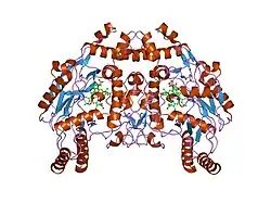 1foj: BOVINE ENDOTHELIAL NITRIC OXIDE SYNTHASE HEME DOMAIN COMPLEXED WITH 7-NITROINDAZOLE-2-CARBOXAMIDINE (H4B PRESENT)