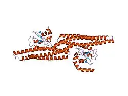 1g73: CRYSTAL STRUCTURE OF SMAC BOUND TO XIAP-BIR3 DOMAIN