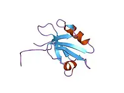 1g9o: FIRST PDZ DOMAIN OF THE HUMAN NA+/H+ EXCHANGER REGULATORY FACTOR