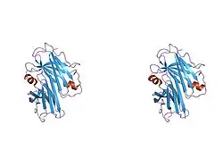 1gko: AN ENGINEERED TRANSTHYRETIN MONOMER THAT IS NON-AMYLOIDOGENIC - UNLESS PARTIALLY DENATURED