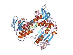 1gsn: HUMAN GLUTATHIONE REDUCTASE MODIFIED BY DINITROSOGLUTATHIONE