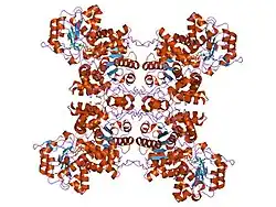 1gz3: MOLECULAR MECHANISM FOR THE REGULATION OF HUMAN MITOCHONDRIAL NAD(P)+-DEPENDENT MALIC ENZYME BY ATP AND FUMARATE