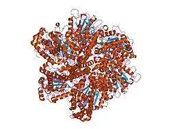 1h8h: BOVINE MITOCHONDRIAL F1-ATPASE CRYSTALLISED IN THE PRESENCE OF 5MM AMPPNP
