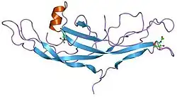 1hcn: STRUCTURE OF HUMAN CHORIONIC GONADOTROPIN AT 2.6 ANGSTROMS RESOLUTION FROM MAD ANALYSIS OF THE SELENOMETHIONYL PROTEIN