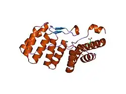 1hh8: THE ACTIVE N-TERMINAL REGION OF P67PHOX: STRUCTURE AT 1.8 ANGSTROM RESOLUTION AND BIOCHEMICAL CHARACTERIZATIONS OF THE A128V MUTANT IMPLICATED IN CHRONIC GRANULOMATOUS DISEASE