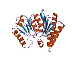 1imf: STRUCTURAL STUDIES OF METAL BINDING BY INOSITOL MONOPHOSPHATASE: EVIDENCE FOR TWO-METAL ION CATALYSIS