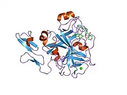 1iqn: Human coagulation factor Xa in complex with M55192