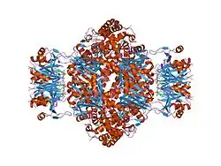 1is7: Crystal structure of rat GTPCHI/GFRP stimulatory complex