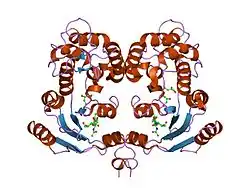1isf: Crystal Structure Analysis of BST-1/CD157