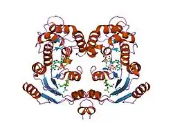 1isi: Crystal Structure Analysis of BST-1/CD157 complexed with ethenoNAD