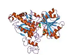 1isr: Crystal Structure of Metabotropic Glutamate Receptor Subtype 1 Complexed with Glutamate and Gadolinium Ion