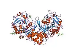 1ivy: PHYSIOLOGICAL DIMER HPP PRECURSOR