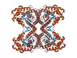 1j4e: FRUCTOSE-1,6-BISPHOSPHATE ALDOLASE COVALENTLY BOUND TO THE SUBSTRATE DIHYDROXYACETONE PHOSPHATE