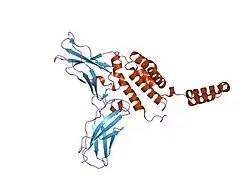 1j7v: HUMAN IL-10 / IL-10R1 COMPLEX