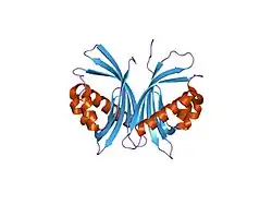 1jb5: CRYSTAL STRUCTURE OF NTF2 M118E MUTANT