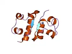 1jca: Non-standard Design of Unstable Insulin Analogues with Enhanced Activity