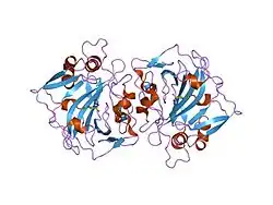 1jd0: CRYSTAL STRUCTURE OF THE EXTRACELLULAR DOMAIN OF HUMAN CARBONIC ANHYDRASE XII COMPLEXED WITH ACETAZOLAMIDE
