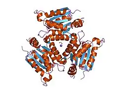 1jlj: 1.6 Angstrom crystal structure of the human neuroreceptor anchoring and molybdenum cofactor biosynthesis protein gephyrin