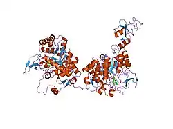 1jr1: Crystal structure of Inosine Monophosphate Dehydrogenase in complex with Mycophenolic Acid