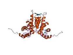 1juo: Crystal Structure of Calcium-free Human Sorcin: A Member of the Penta-EF-Hand Protein Family