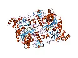 1jvg: CRYSTAL STRUCTURE OF HUMAN AGX2 COMPLEXED WITH UDPGALNAC
