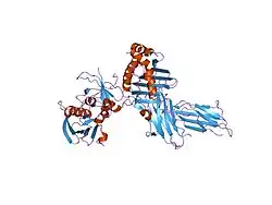 1jwm: Crystal Structure of the Complex of the MHC Class II Molecule HLA-DR1(HA peptide 306-318) with the Superantigen SEC3