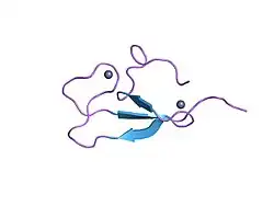 1kbe: Solution structure of the cysteine-rich C1 domain of Kinase Suppressor of Ras