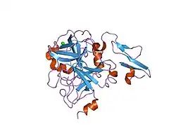 1klj: Crystal structure of uninhibited factor VIIa