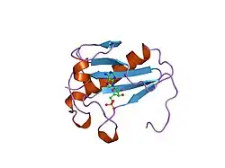 1kpf: PKCI-SUBSTRATE ANALOG