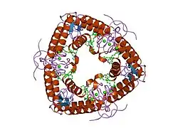 1kvo: Human phospholipase A2 complexed with a highly potent substrate analogue