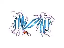 1lgq: Crystal structure of the FHA domain of the Chfr mitotic checkpoint protein