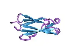 1lwr: Solution structure of the NCAM fibronectin type III module 2