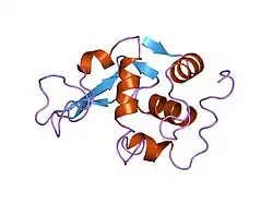 1lz1: REFINEMENT OF HUMAN LYSOZYME AT 1.5 ANGSTROMS RESOLUTION. ANALYSIS OF NON-BONDED AND HYDROGEN-BOND INTERACTIONS