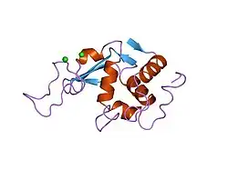 1lz6: STRUCTURAL AND FUNCTIONAL ANALYSES OF THE ARG-GLY-ASP SEQUENCE INTRODUCED INTO HUMAN LYSOZYME