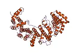 1m5n: Crystal structure of HEAT repeats (1-11) of importin b bound to the non-classical NLS(67-94) of PTHrP