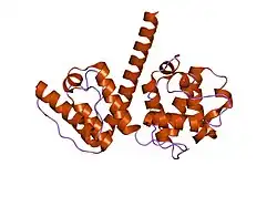 1mb8: Crystal Structure of the actin binding domain of plectin