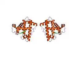 1mni: ALTERATION OF AXIAL COORDINATION BY PROTEIN ENGINEERING IN MYOGLOBIN. BIS-IMIDAZOLE LIGATION IN THE HIS64-->VAL(SLASH)VAL68-->HIS DOUBLE MUTANT