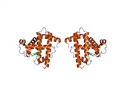1mnk: INTERACTIONS AMONG RESIDUES CD3, E7, E10 AND E11 IN MYOGLOBINS: ATTEMPTS TO SIMULATE THE O2 AND CO BINDING PROPERTIES OF APLYSIA MYOGLOBIN