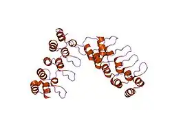 1mx2: Structure of F71N mutant of p18INK4c