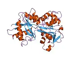 1n7w: Crystal Structure of Human Serum Transferrin, N-Lobe L66W mutant