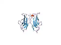 1nci: STRUCTURAL BASIS OF CELL-CELL ADHESION BY CADHERINS